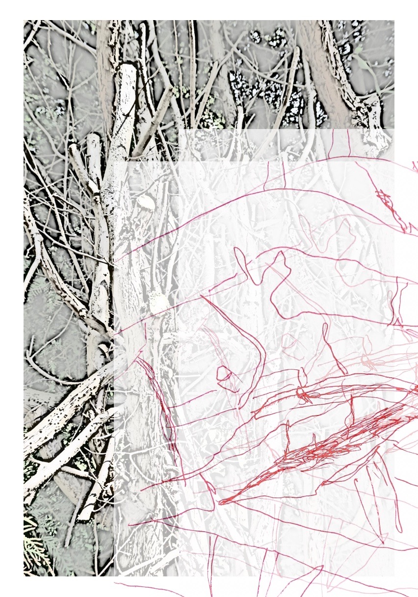 Kunstprojecten